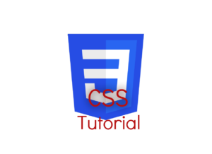 CSS Tutorial