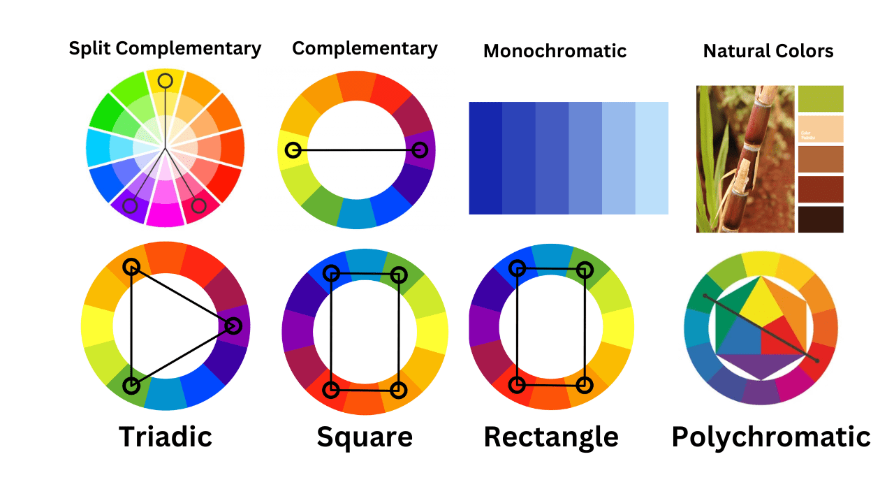 color types